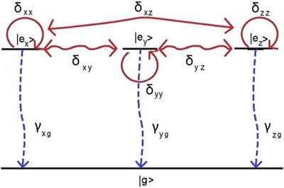 Decoherent Excitation of Transverse Free Currents in Dielectric Liquids via Inter-Molecular Interactions